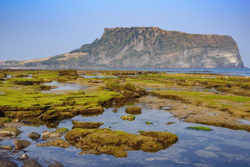 Hotel Aroha Jeju Seogwipo Eksteriør billede